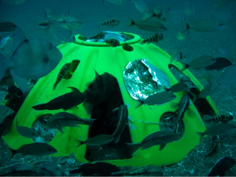 EPA divers from Atlanta place this instrument in Charleston Harbor in order to monitor currents and better predict sand movement for a harbor deepening project.
