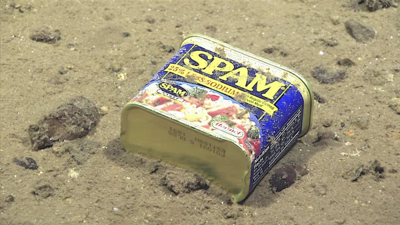 A piece of marine debris, in the form of a Spam container, found on the deep-sea floor of the Marianas Trench. 