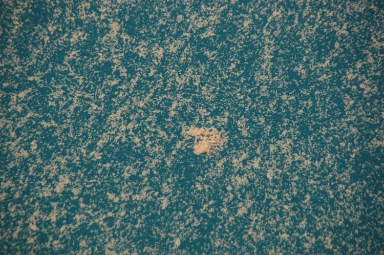 An underwater blizzard of oil, marine microbes, "sea snot", and algae.