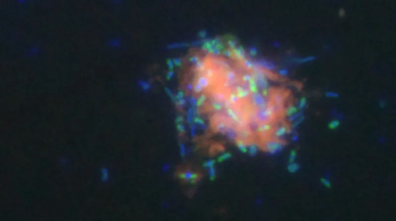 a large salmon colored orb with tiny fluorescent green and blue orbs covering it