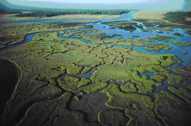 Estuary: a storm buffer A birds eye view of an estuary