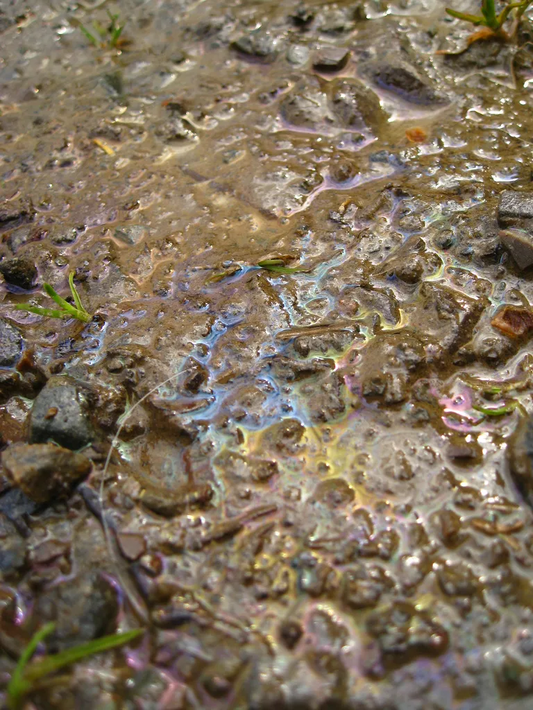 Oil leaks from cars and other vehicles contribute to ocean pollution.