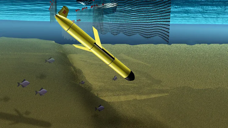 Illustration of Robotic Glider Evading Fishing Nets