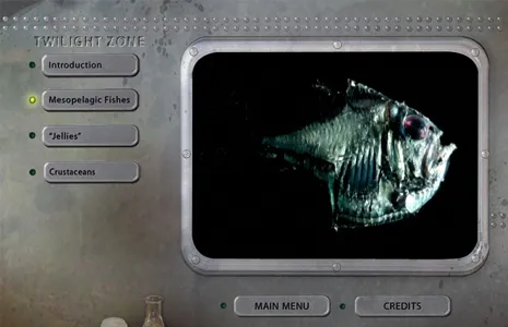 Take a look at strange deep-sea creatures rarely seen before.