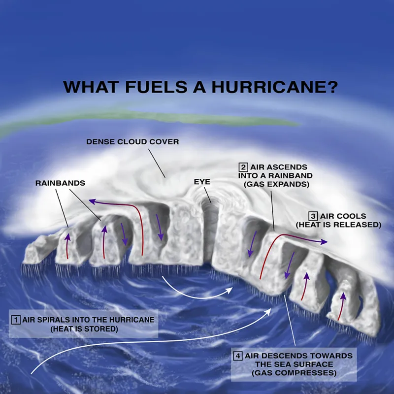 Illustration that shows a cross-section of a hurricane. 