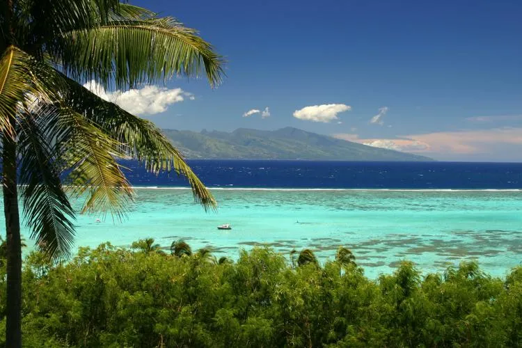 A view of the Pacific from Moorea, where scientists are working to catalog the life forms of the entire ecosystem.
