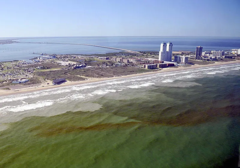 A bloom of algae from up above