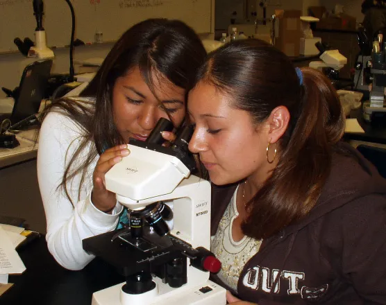 Students share a microscope to get a closer look at plankton samples from the Deepwater Horizon Oil Spill.