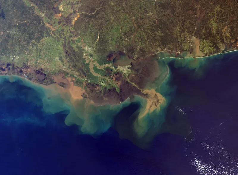 A sediment plume from the mouth of the Mississippi River into the Gulf. 