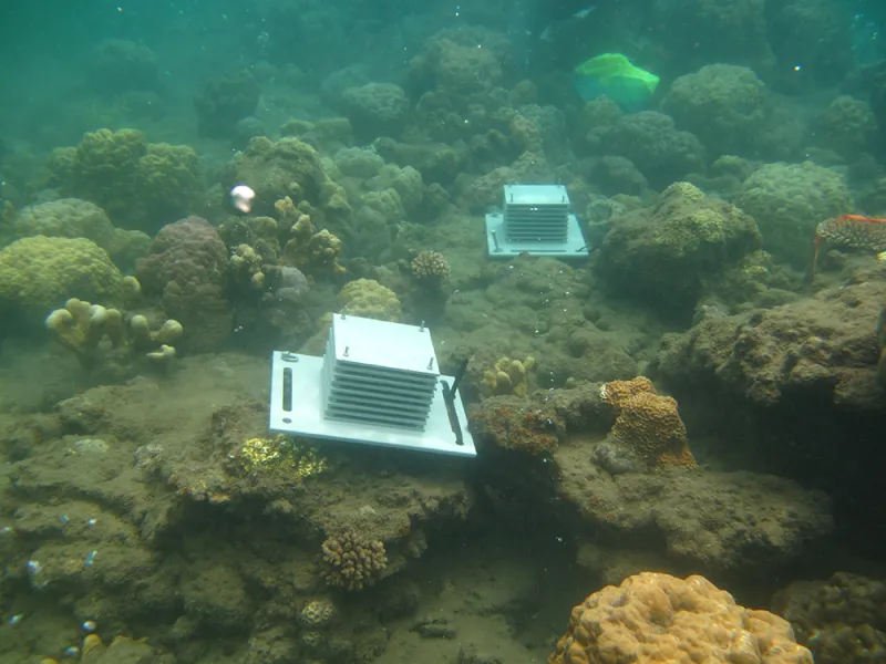 Two ARMS sit on the ocean floor.