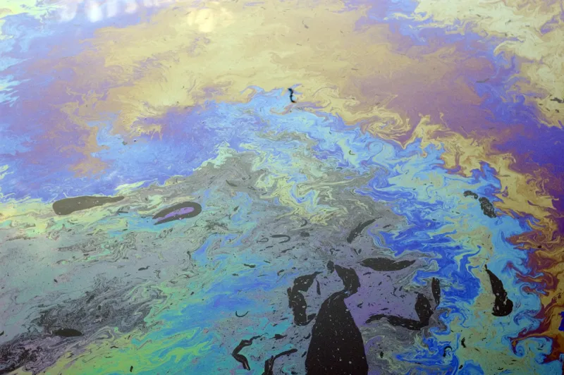 a thick multicolored oil sheen on the water inside a boat marina