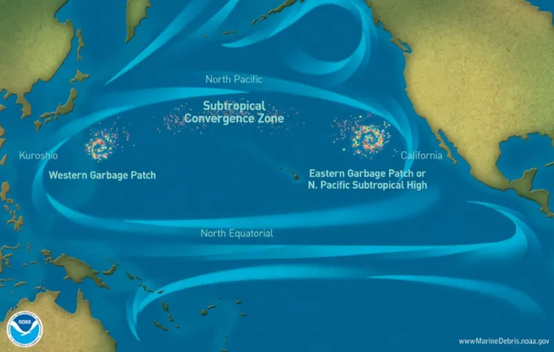 The currents of the North Pacific gyre collect trash—mostly bits of microscopic plastic—into what are known as "garbage patches."