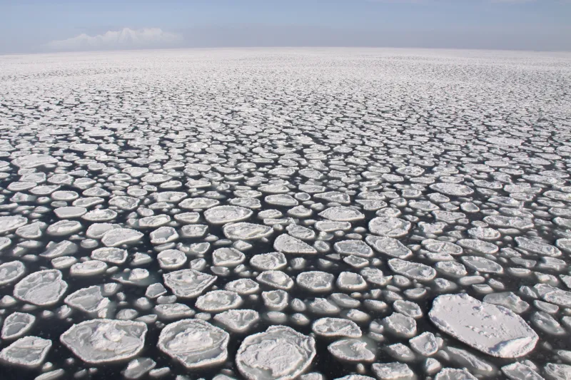 pancakes of ice cover the ocean