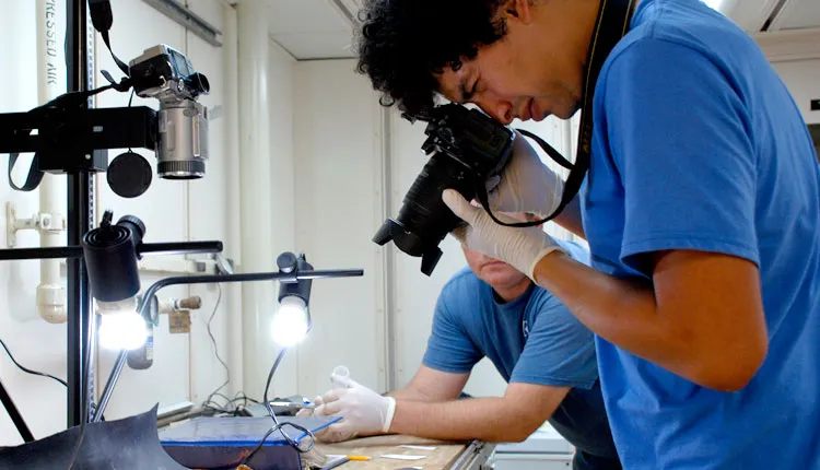 After ocean scientists sort deep-sea coral samples into their different types, they measure and photograph the specimens. 