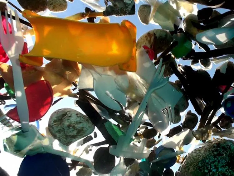 A photo of plastic trash floating in the water, taken from below the surface.