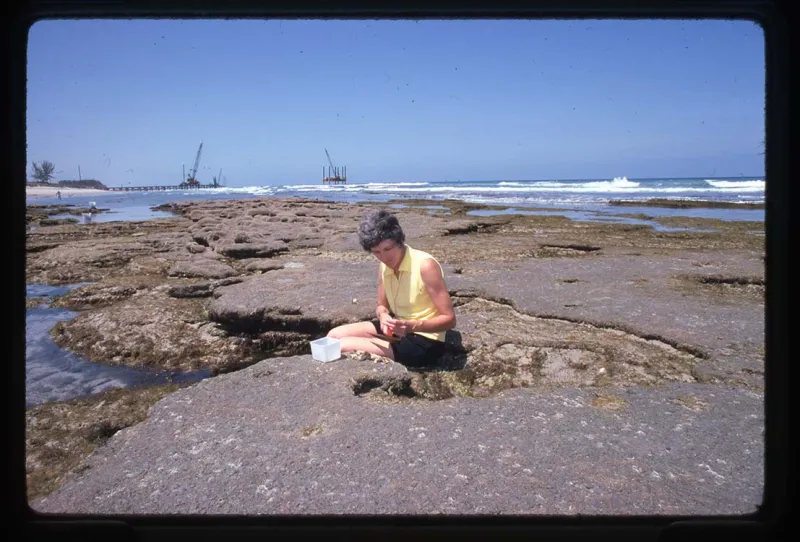 Rice sitting on rocks by the beach doing fieldwork