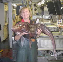 Ruth Meadows holds a Chimaera, a strange looking distant relative of the shark.