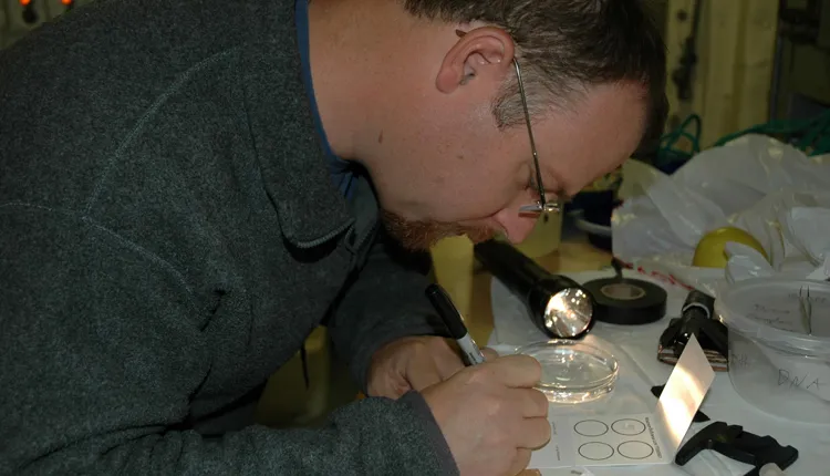 Scientist Kevin Raskoff processes samples of DNA