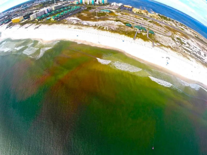 Pink dye was released by CARTHE researchers on the coast of the Gulf of Mexico and its movement tracked using underwater sensors, two small drones, a helicopter and a kite.