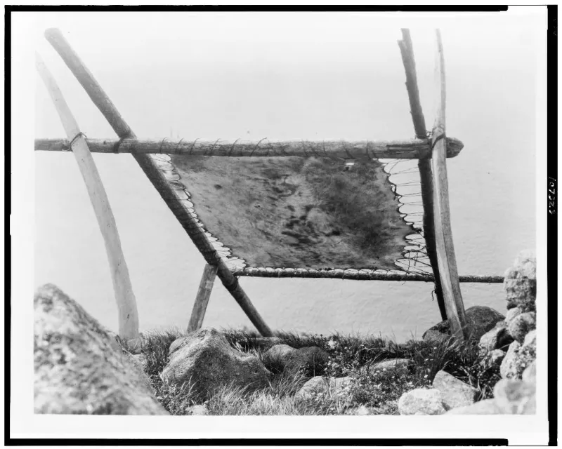 a wood frame dries walrus hide