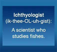 Ichthyologist (ik-thee-OL-uh-gist): a scientist who studies fish.