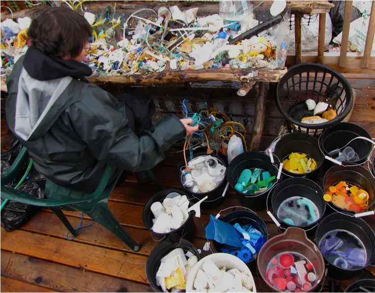 A volunteer sorts washed plastic collected from the beach into buckets by color and size. 