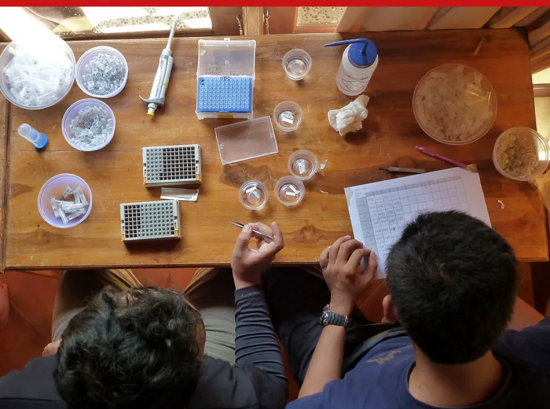 Students working on a marine genetics project at the Indonesian Biodiversity Research Center in 2011.