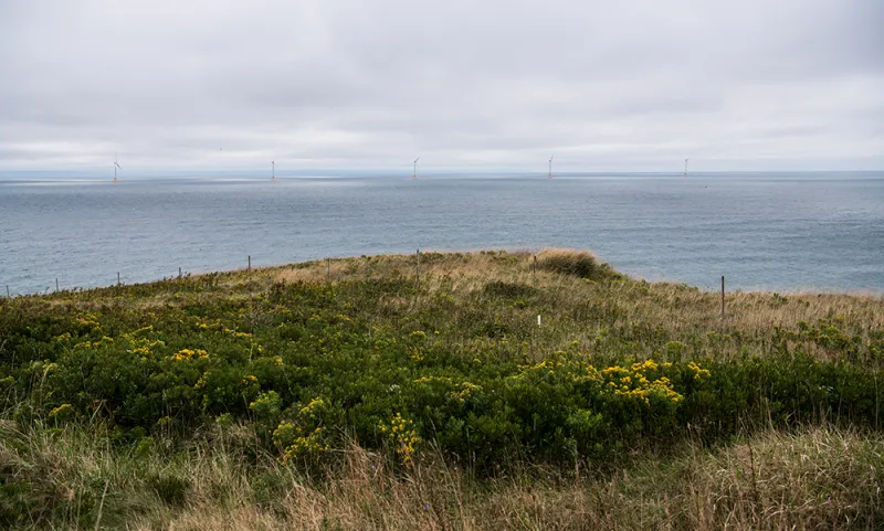The Block Island wind farm is the first operational offshore wind farm in the United States. It consists of five wind turbines which powered up in December 2016 and were connected to the mainland energy grid in May 2017.