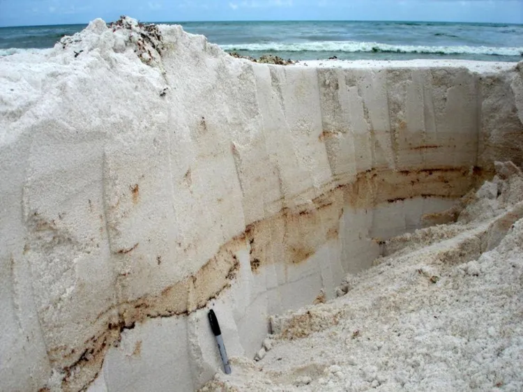 Follow the Fingerprint: There are many sources of oil in the Gulf of Mexico, including natural deep-sea oil seeps, small spills from ships, and oil from roads that washes into the sea—not to mention big oil spills like Deepwater Horizon. How do GoMRI res