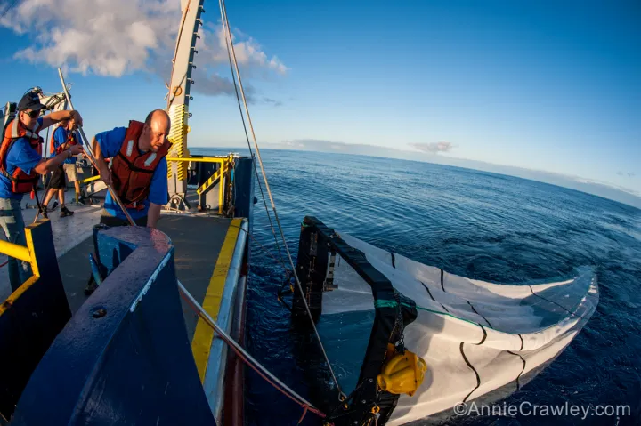 Trash Detective and microbial ecologist Peter Davison and crew haul in the Oozeki net, used to collect fish and other organisms living between 650 and 2,600 feet, at sunrise. Operations aboard the SEAPLEX cruise happened 24 hours a day around the clock.
