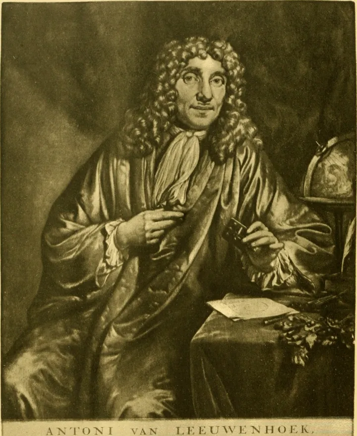an old drawing of Leeuwenhoek
