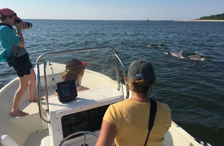 Three female scientists observe a pod of dolphins from a boat in the Potomac River. 