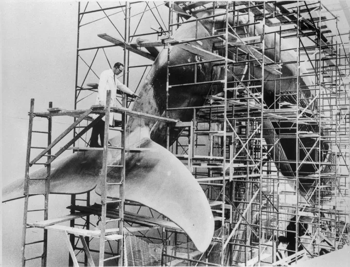 a sculptor works on a huge blue whale model in scaffolding