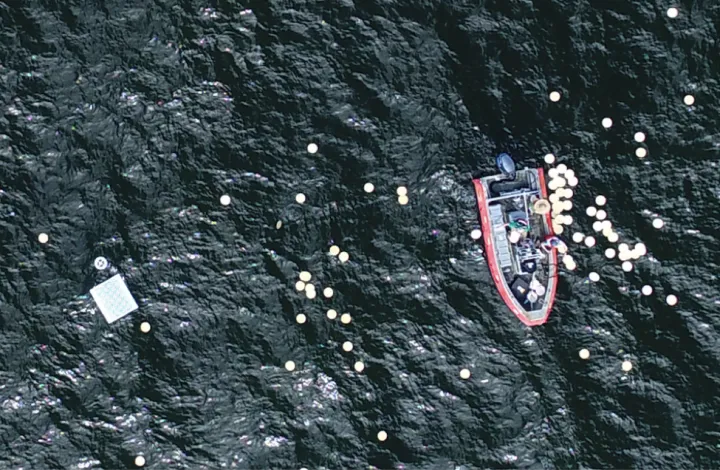 A zodiac boat and bamboo plates in the ocean