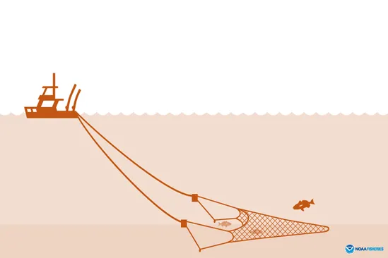 a graphic of a boat towing a trawl