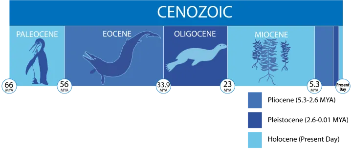 a timeline of the cenozoic era