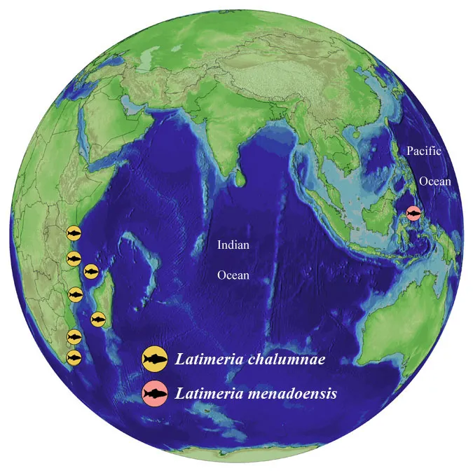 a map of where coelacanths live