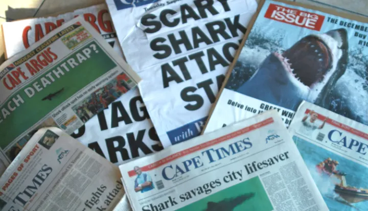 Newspapers with shark attack headlines in South Africa.
