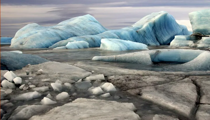 On average, Arctic sea ice has decreased by four percent per decade since the late 1970s.