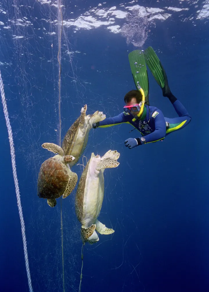 An abandoned fishing net carrying 17 dead sea turtles was discovered off the coast of Bahia, Brazil days after a storm.
