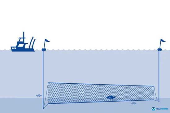 a boat sets a gillnet
