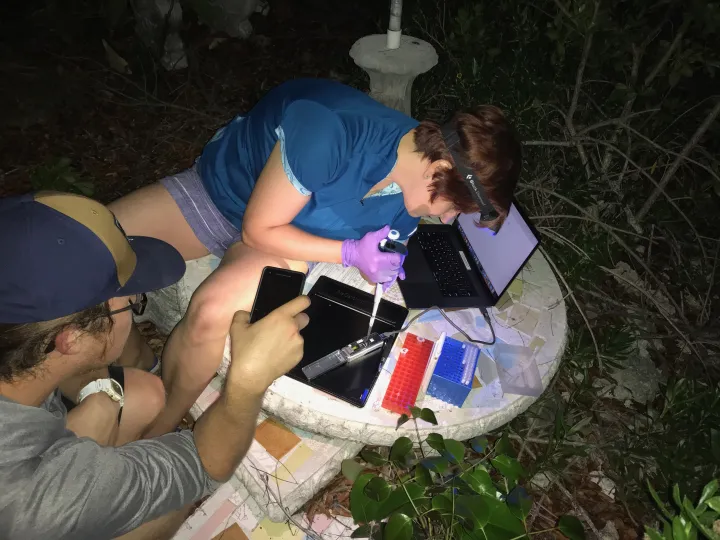 a scientist pipettes in the woods