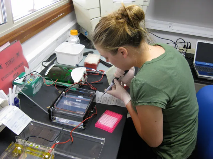 Researcher Aimee Ellison tests samples for DNA barcoding at the Gump Field Station on Moorea.