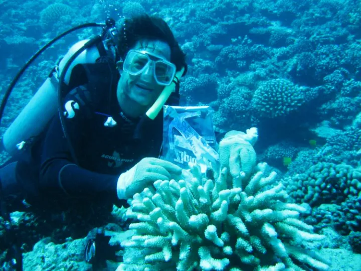 Chris Meyer takes his nephew’s friend, Flat Stanley, for a dive in Moorea.