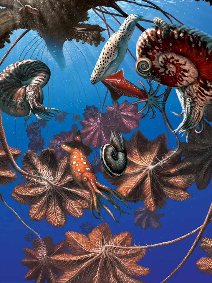 a bunch of squid and ammonoids hide in a forest of sea lilies