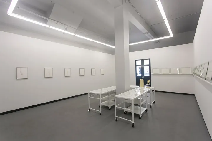 Kopelman's work was exhibited at DiabloRosso Gallery in Panama. 