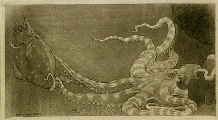 An octopus catching a fish