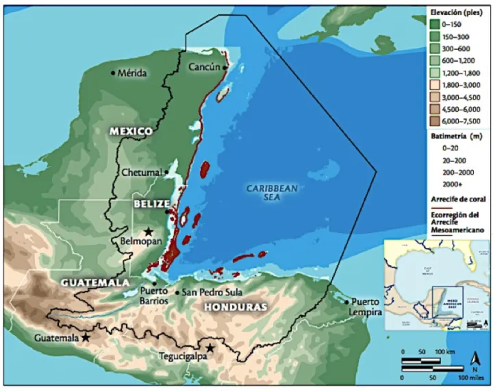 The Mesoamerican Reef extends over 600 miles (1000 km) through the waters of Mexico, Belize, Guatemala and Honduras and includes the Western Hemisphere’s longest barrier reef.
