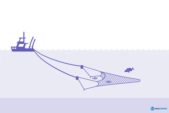 A ship pulls a trawl.