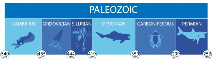 a timeline of the paleozoic era